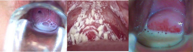 ������ͼƬ