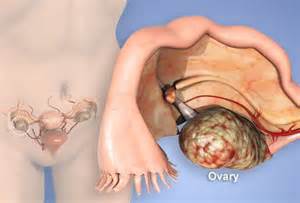 ʲôѳѳ֢״Щ