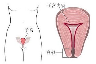 ӹǻճ쳣