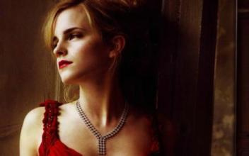 Ԥ���ӹ���������